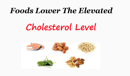 foods Lower The Elevated Cholesterol Level