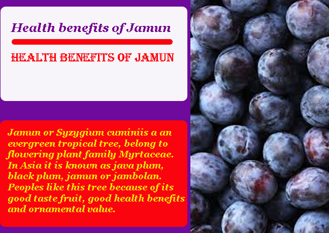Health benefits of Jamun
