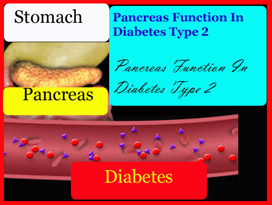 Pancreas Function In Diabetes Type 2