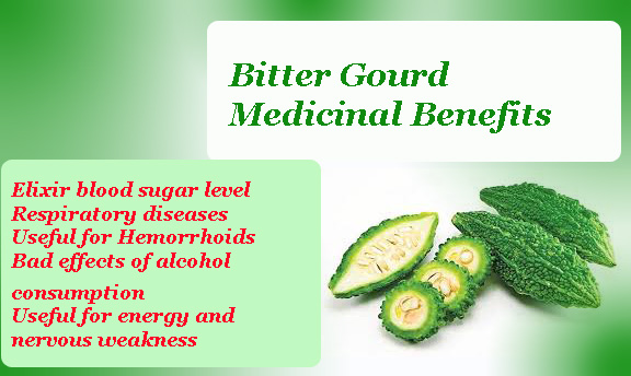 Bitter Gourd Medicinal Benefits