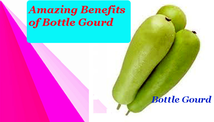 Amazing Benefits of Bottle Gourd 
