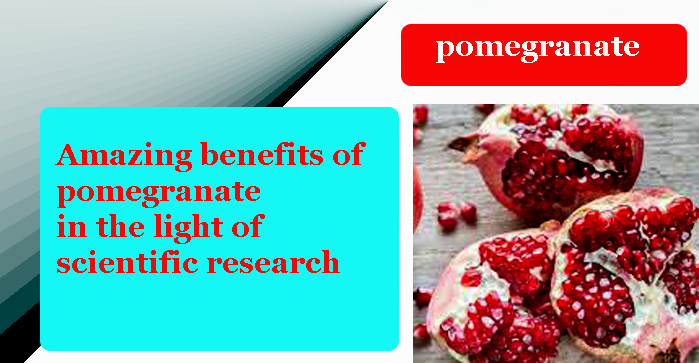 Amazing benefits of pomegranate in the light of scientific research