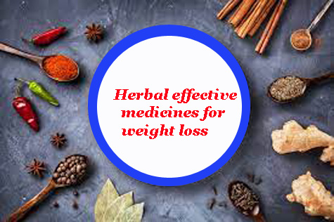 Herbal effective medicines for weight loss 